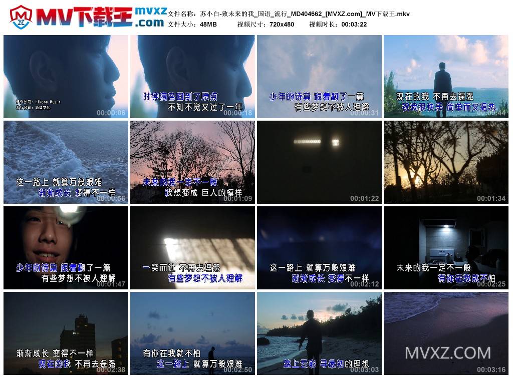 苏小白-致未来的我_国语_流行_MD404662